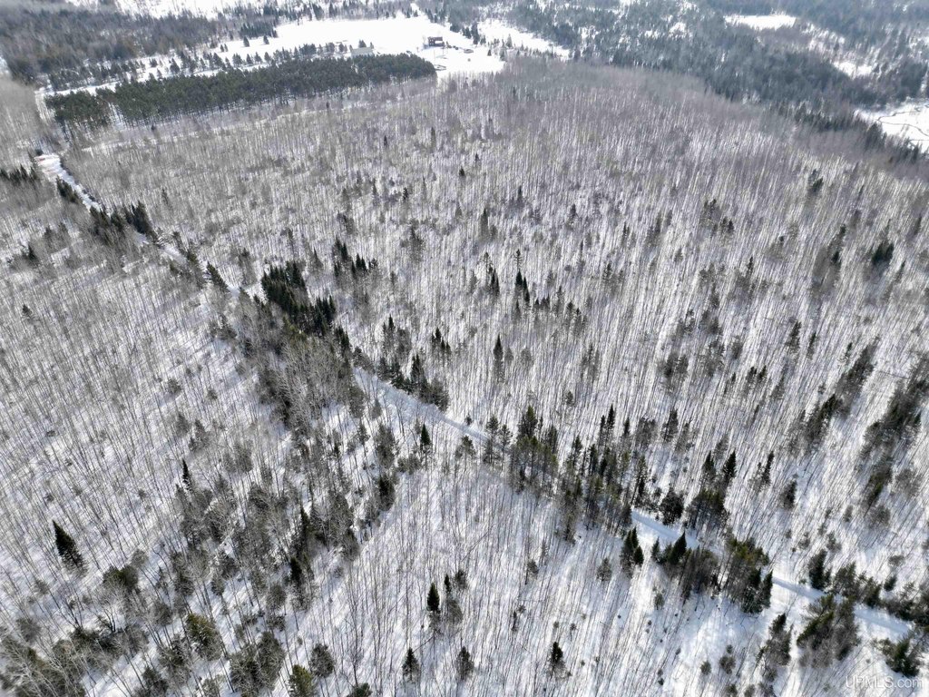 Picture 25