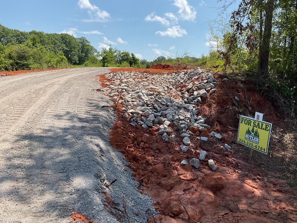 Residential Lot in Crenshaw County