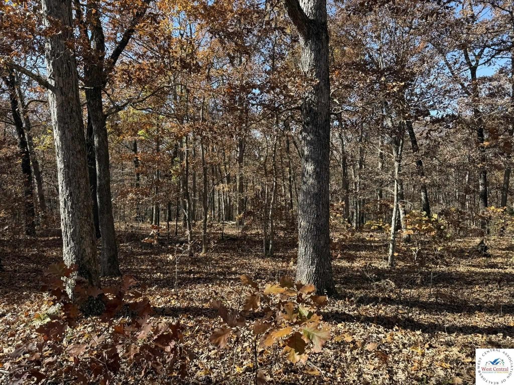 Picture 14