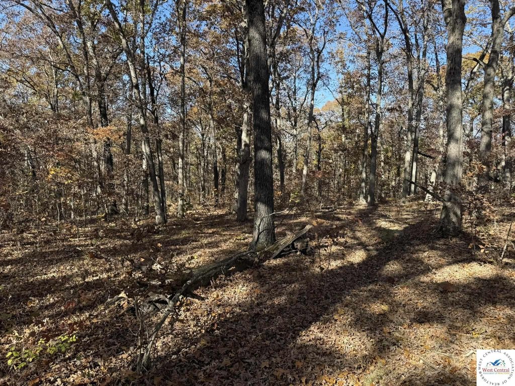 Picture 15