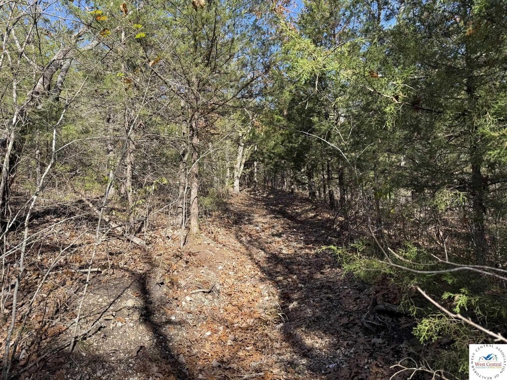 Picture 6