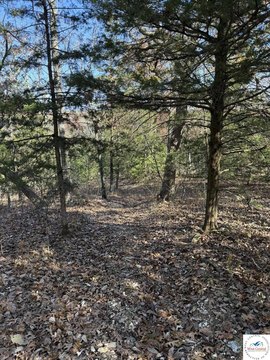 LAND, No Home, Lincoln, MO