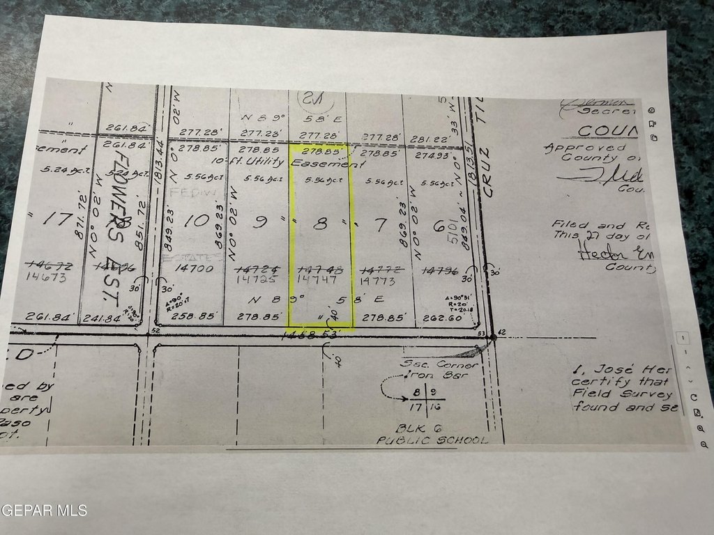 Picture 5