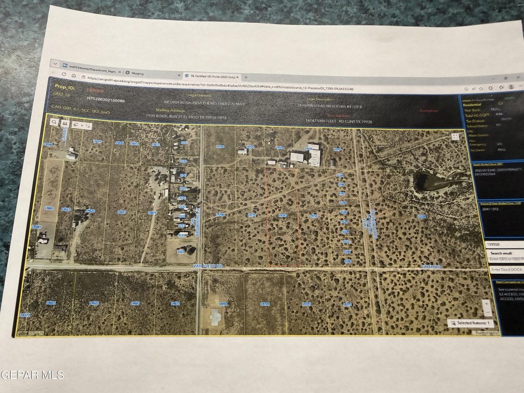 Picture 6