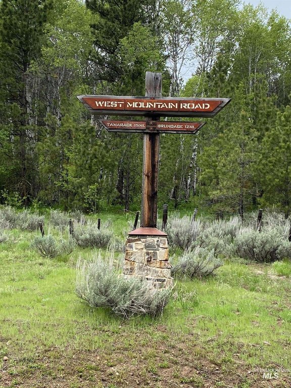 Picture 14