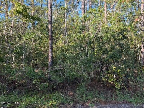 Picture of Land at Kola Rd 4637, New Smyrna Beach, FL