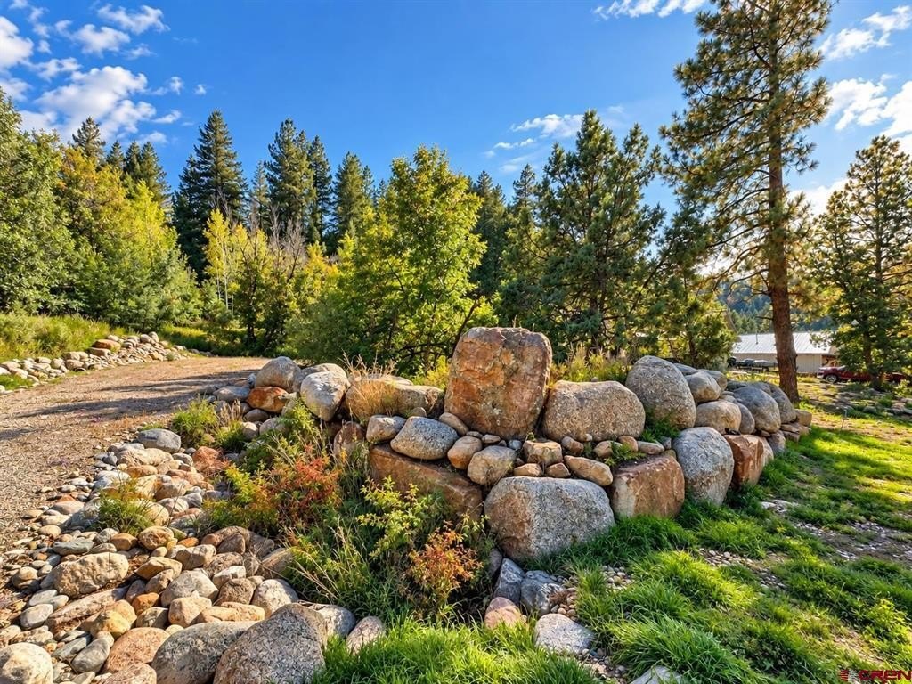 Picture 8