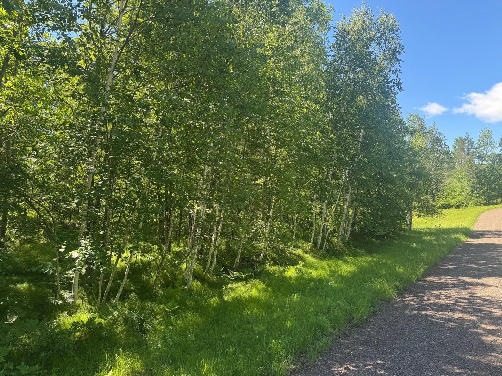 Picture 28