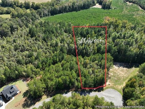 Residential Land in Opelika, AL