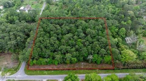 Gulfport Wooded Land Parcel