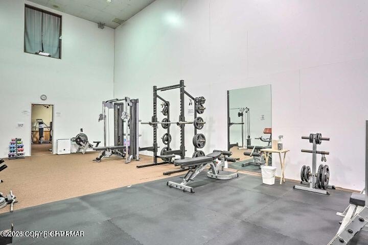 Picture 16