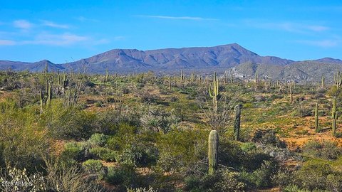 Land, Scottsdale, AZ