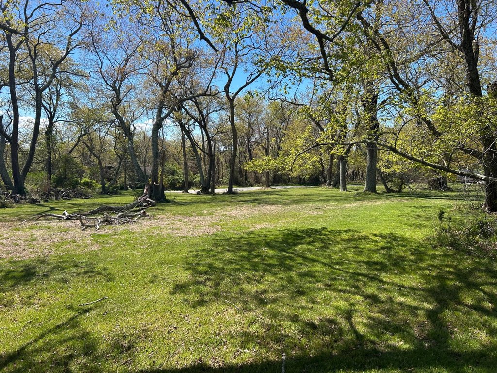 Picture 4
