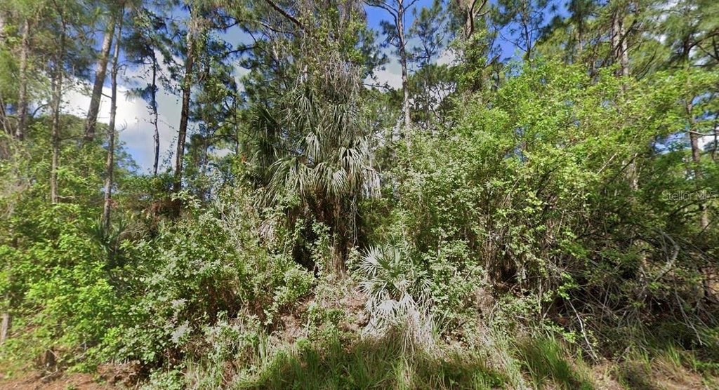 Picture 3