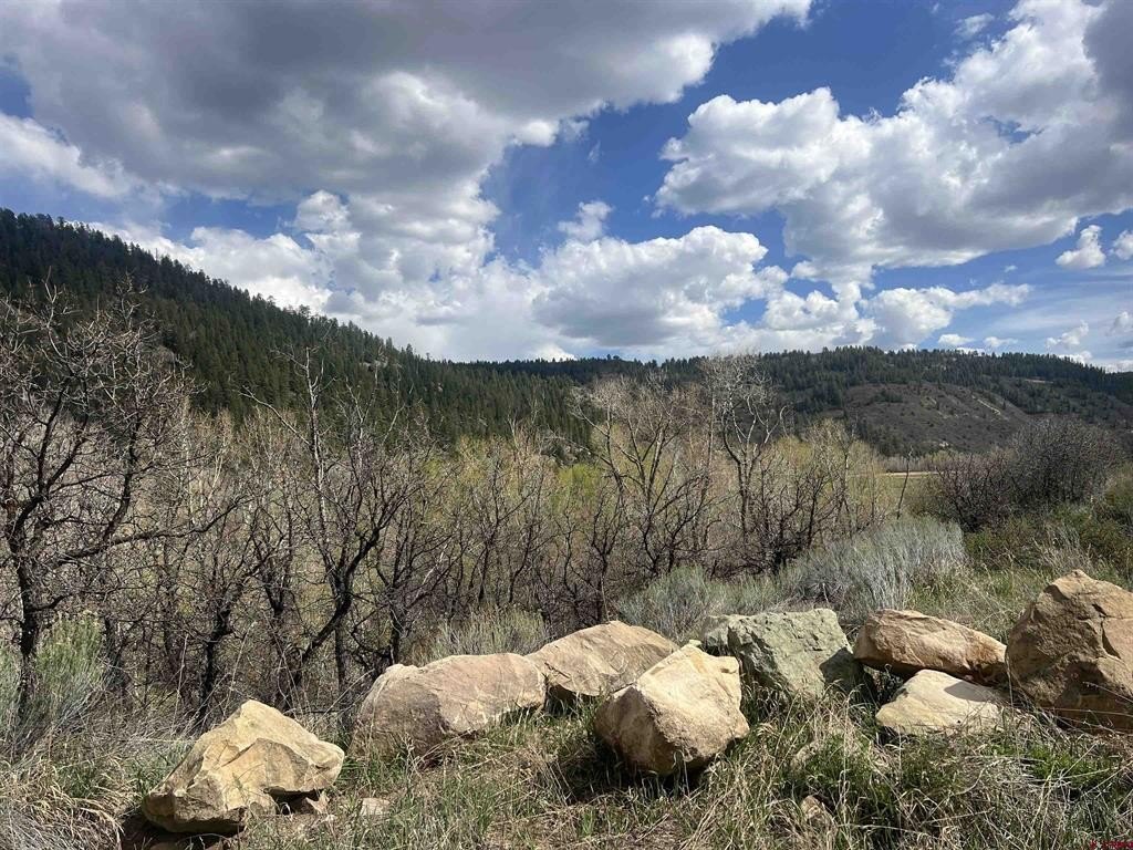 Dolores, CO Land For Sale