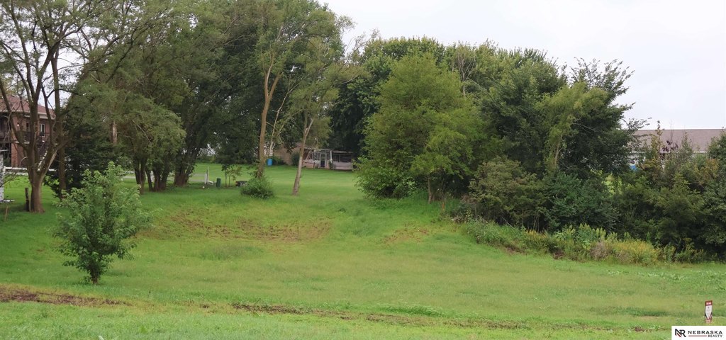 Picture 3