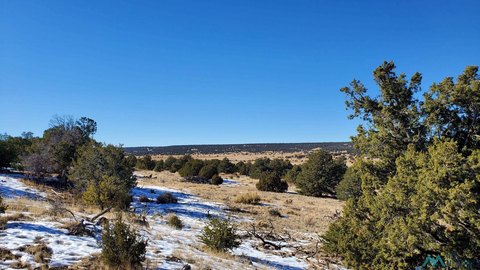 Land in Indian Springs, Quemado