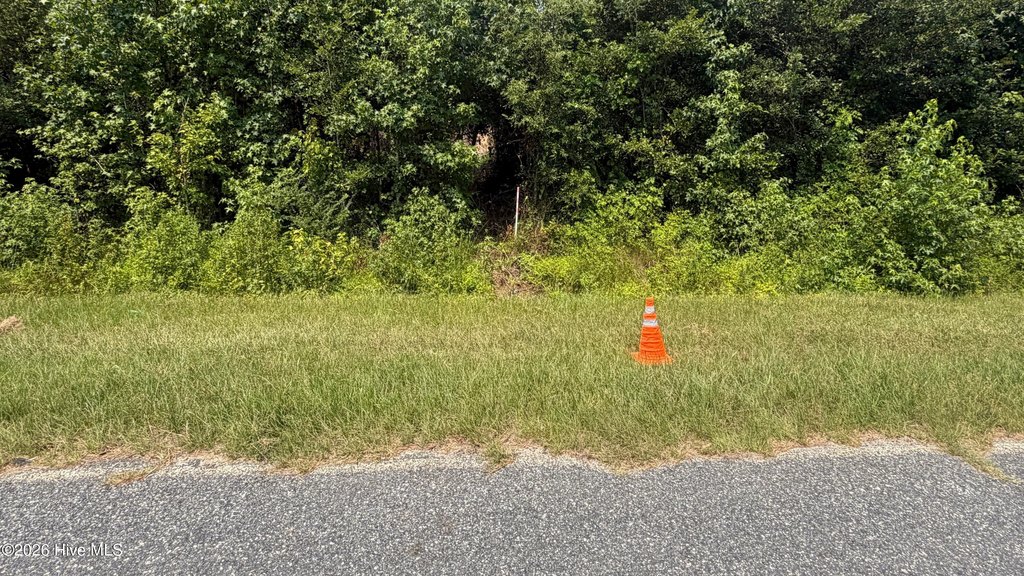 Picture 10