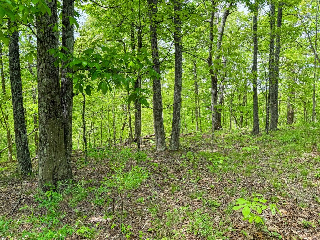Picture 34