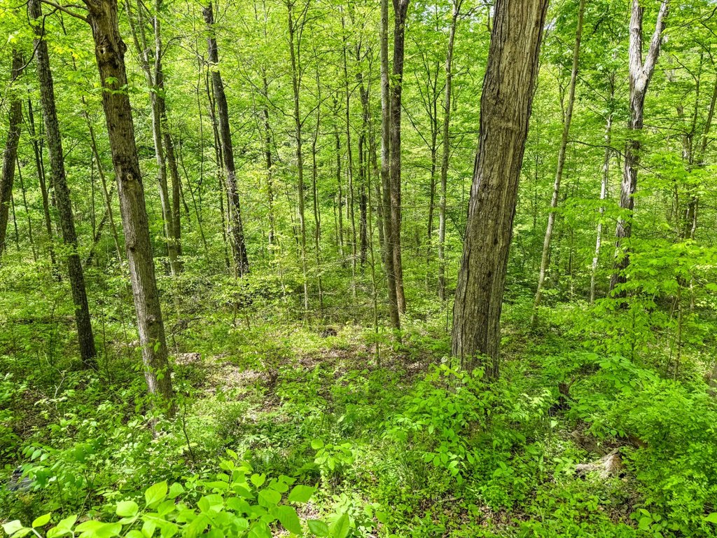 Picture 17