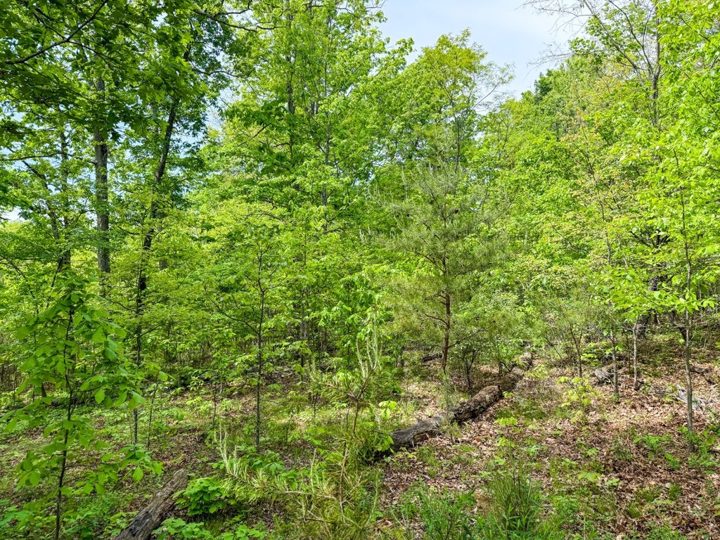 Picture 41