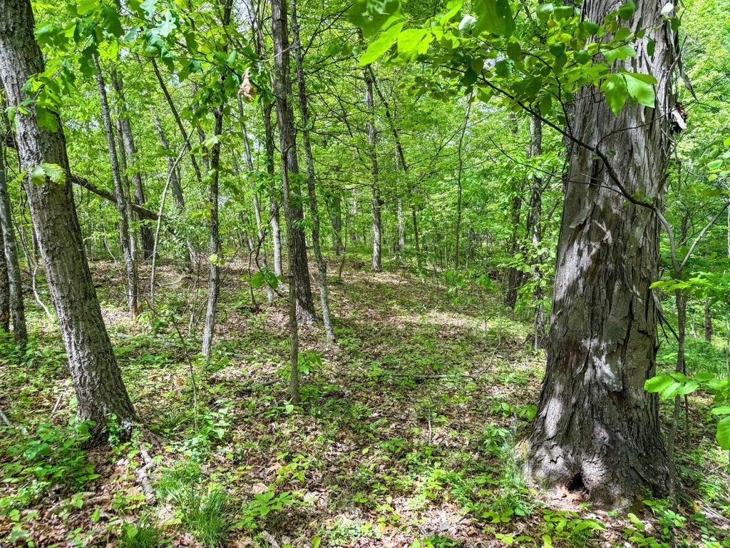 Picture 30