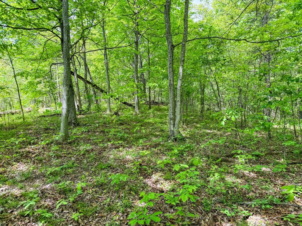 Picture 25