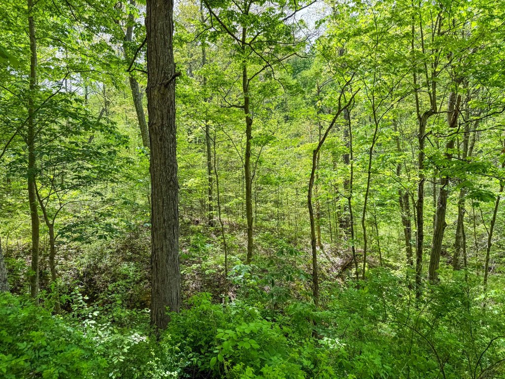 Picture 16
