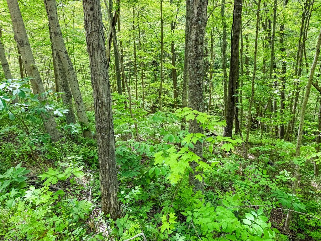 Picture 19