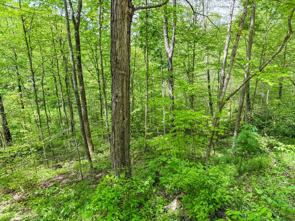 Picture 18