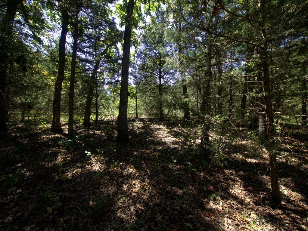 Picture 4