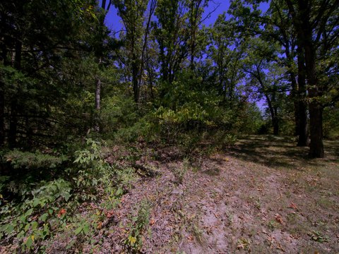 Land, Urbana, MO