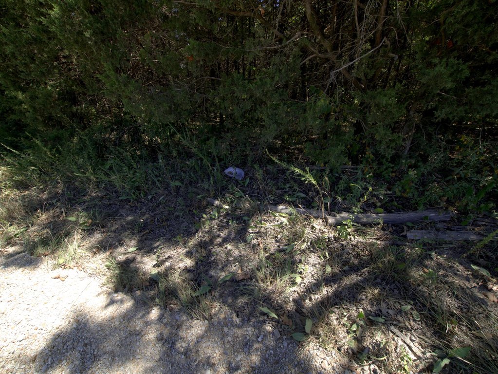 Picture 16
