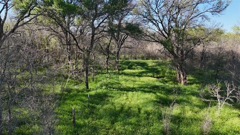 Unrestricted Ranch in Limestone County