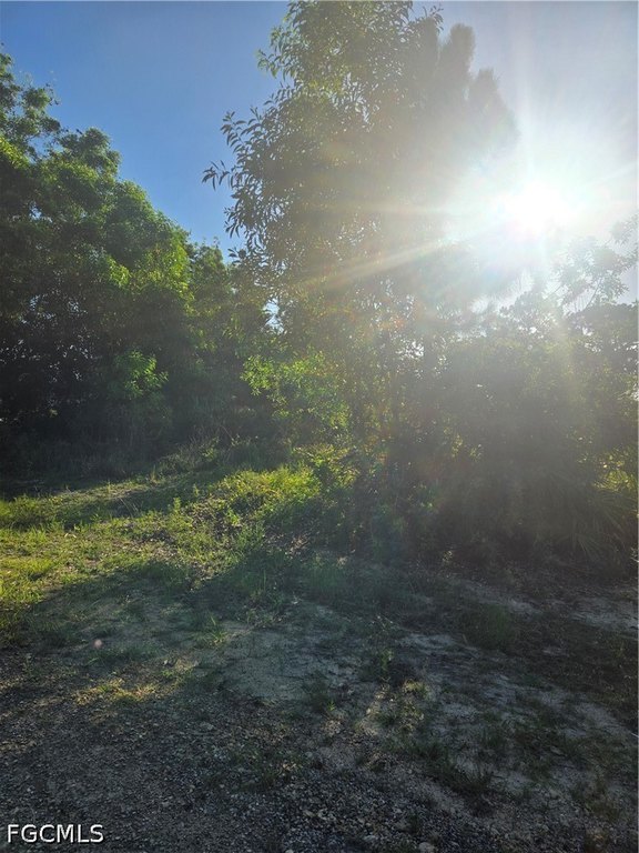 Picture 5