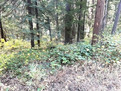 Land, Dunsmuir, CA