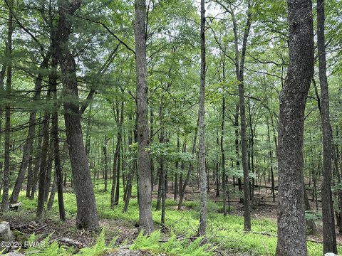Land, Hawley, PA
