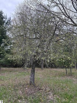 Sloping Corner Residential Land