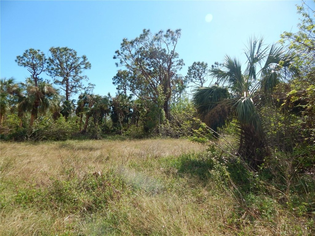 Picture 6