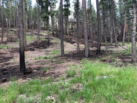 LAND - Rociada, NM
