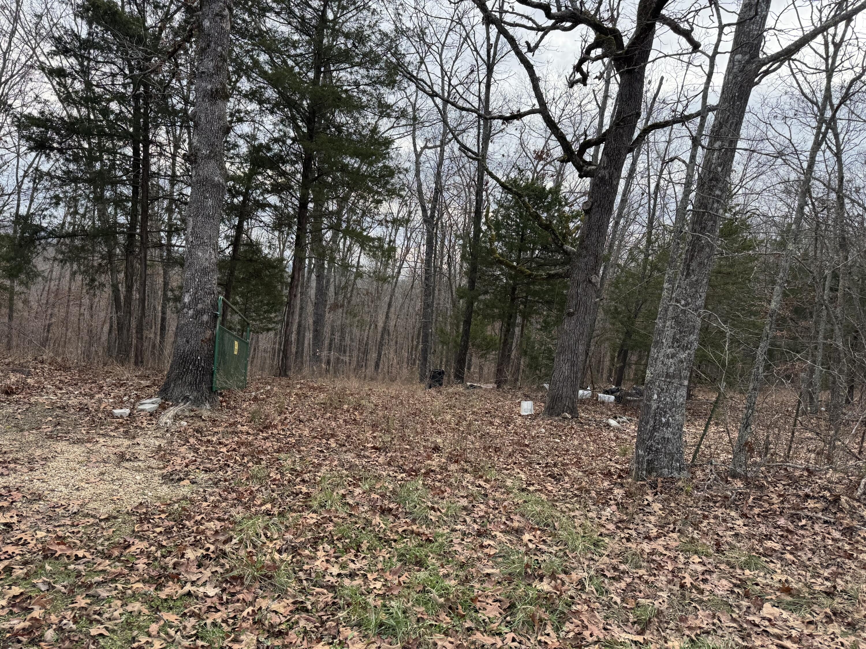 Land in Douglas County, MO