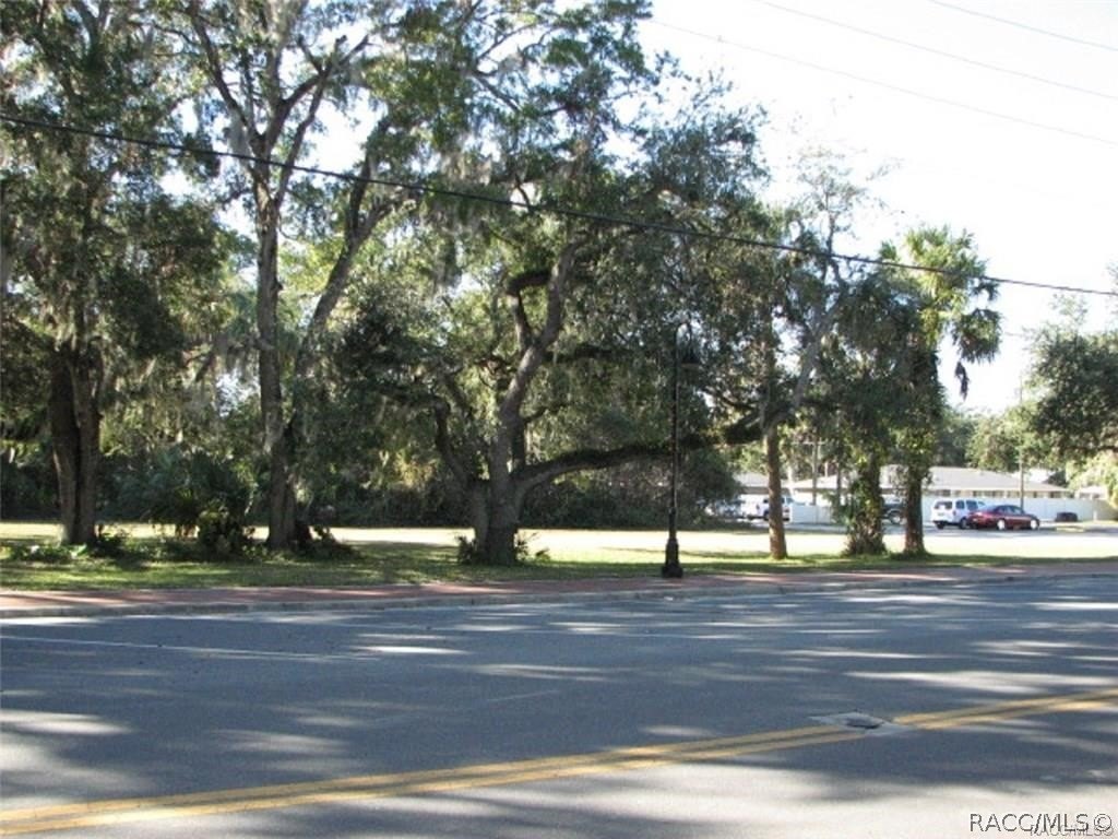 Picture 7