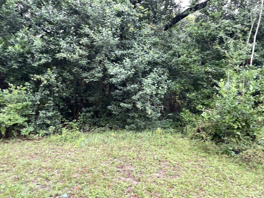 Picture 21