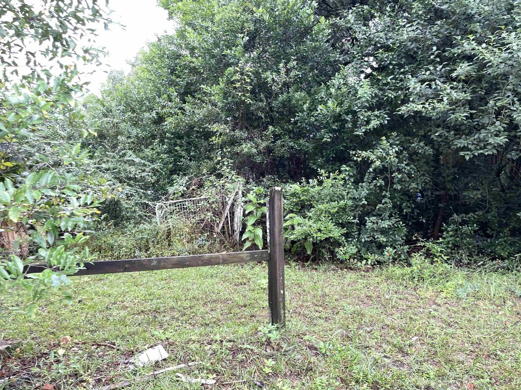 Picture 23