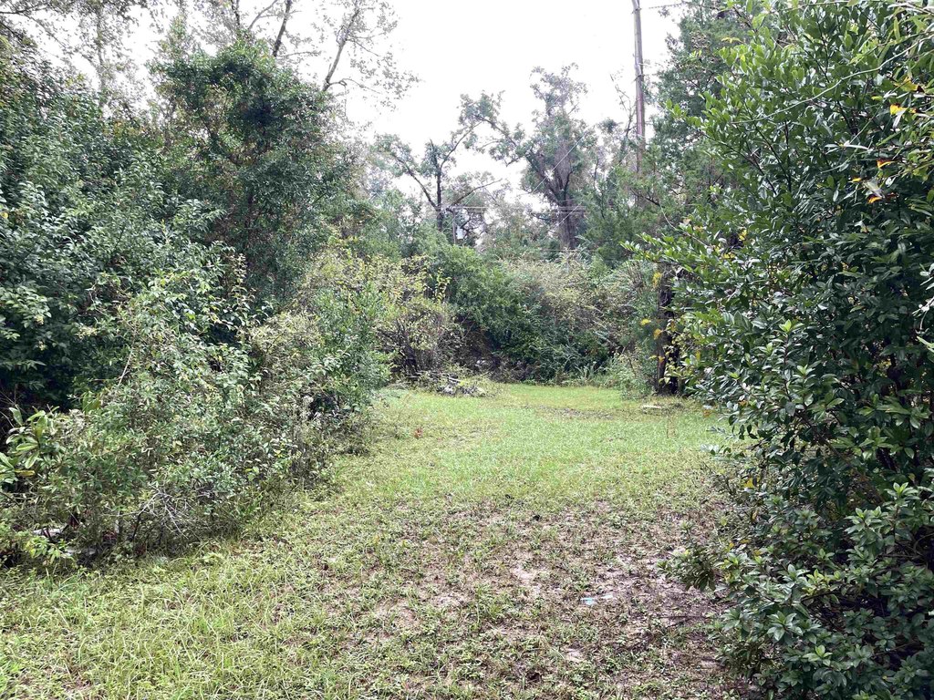 Picture 16