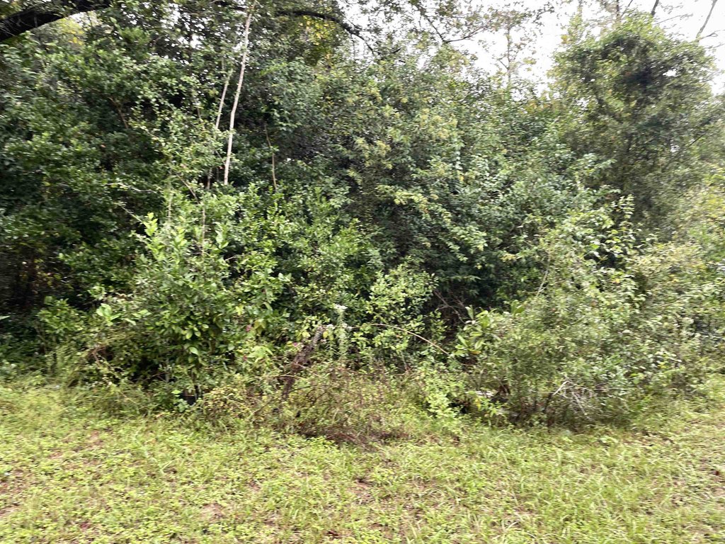 Picture 19