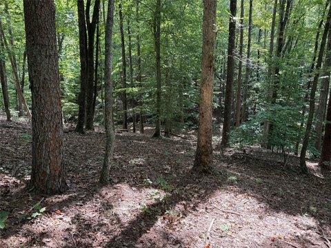 LAND - Nebo, NC
