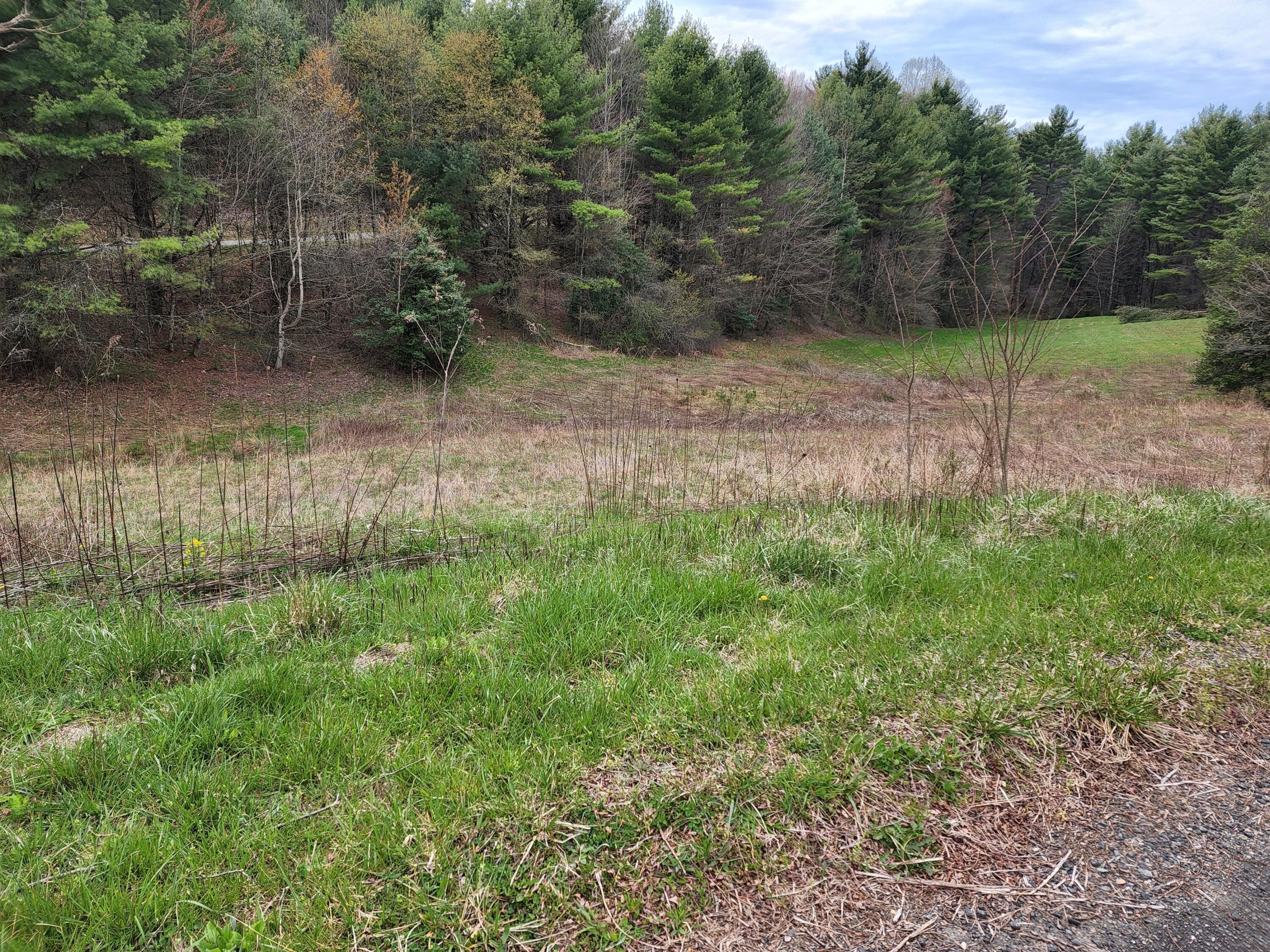 Spacious Mountain City Land Parcel