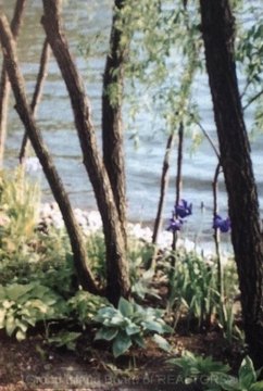 Residential Land in Doniphan, NE