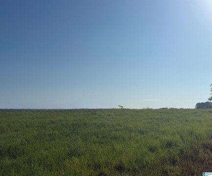 LAND/LOTS, CULLMAN, AL